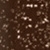 Brown Abyss - 240