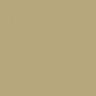 Gold Champagne - 14