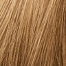 mittelblond - 7.0