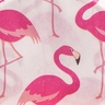 Motiv Flamingo