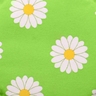 Motiv Gänseblümchen
