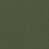 schilf
