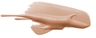 Warm Almond - 06