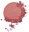 PINK ORCHID - 02
