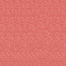 Sunset Coral - Sunset Coral