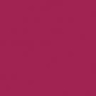 Raspberry Tart - 45