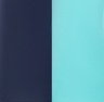 arctic navy