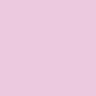 Candy Rose - 170