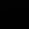 Black To The Roots  - 037