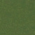 schilf