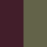 Rot, Olive