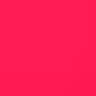 rose red