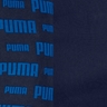 Navy / Blue Print