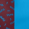 Burgundy / Blue