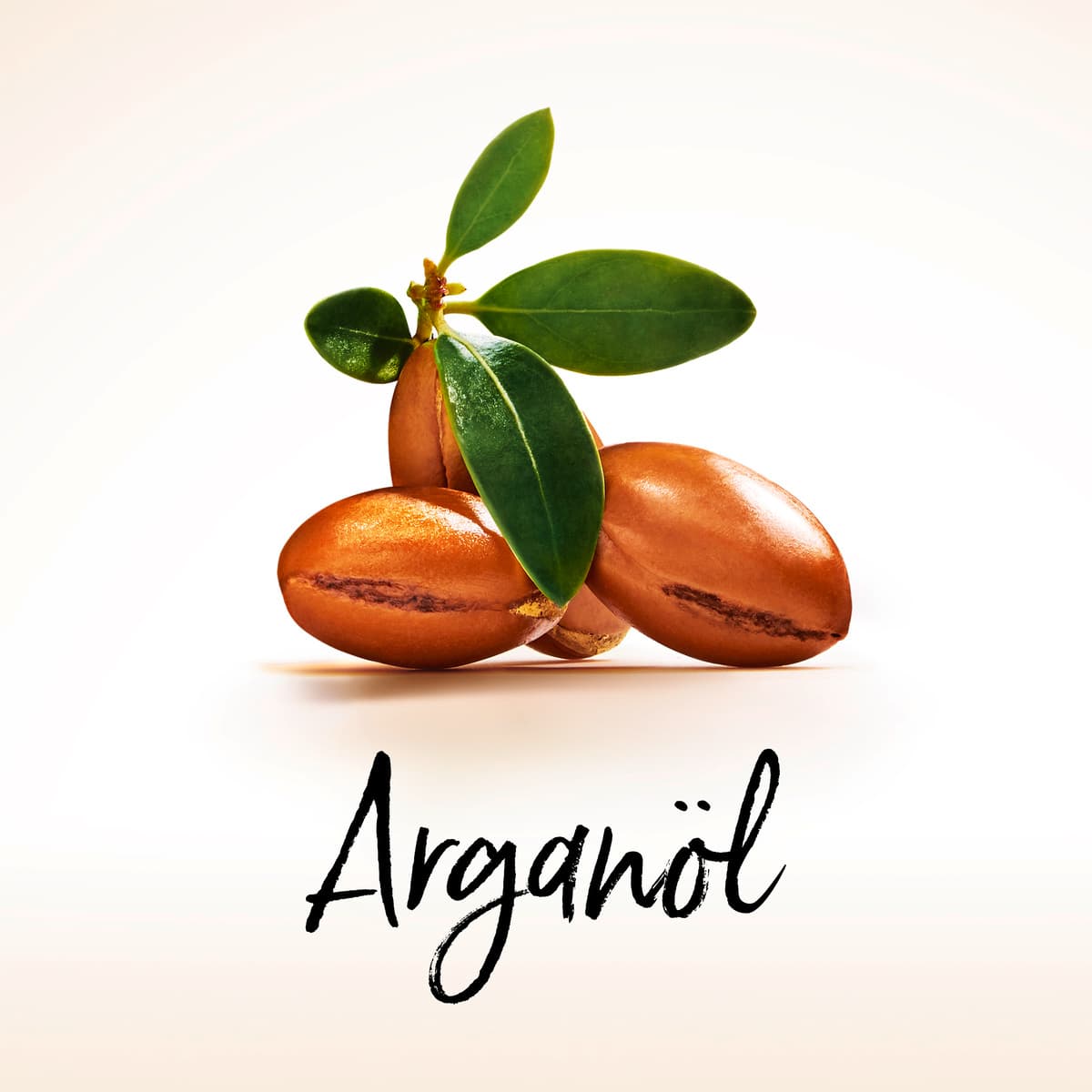 Produktbild Pantene PRO-V Haarkur Argan Infused Oil 5 von 12