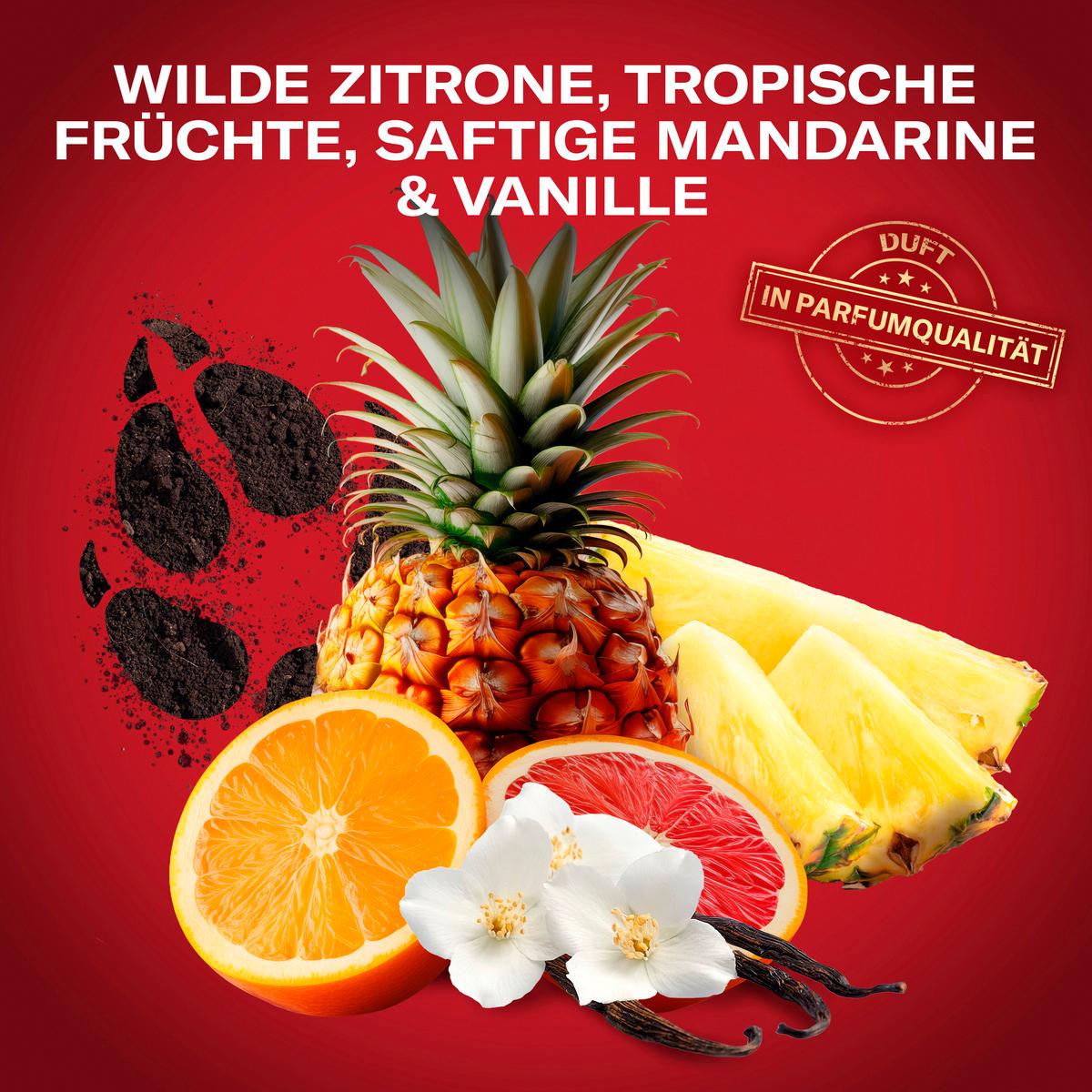 Produktbild Old Spice Deo Spray Body Wolfthorn 4 von 8
