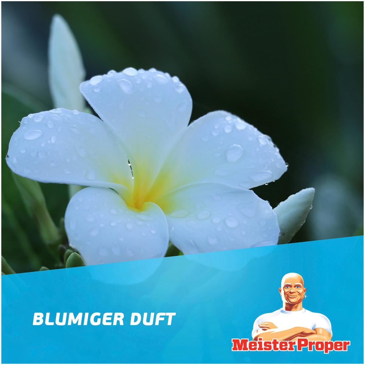 Produktbild Meister Proper Allzweckreiniger Frühlingserwachen  8 von 8