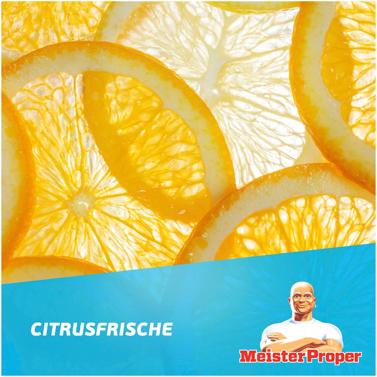 Produktbild Meister Proper Allzweckreiniger Citrusfrische 8 von 8