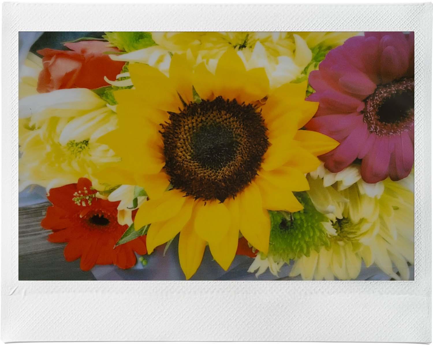 Produktbild Fujfilm instax Wide Evo 12 von 20