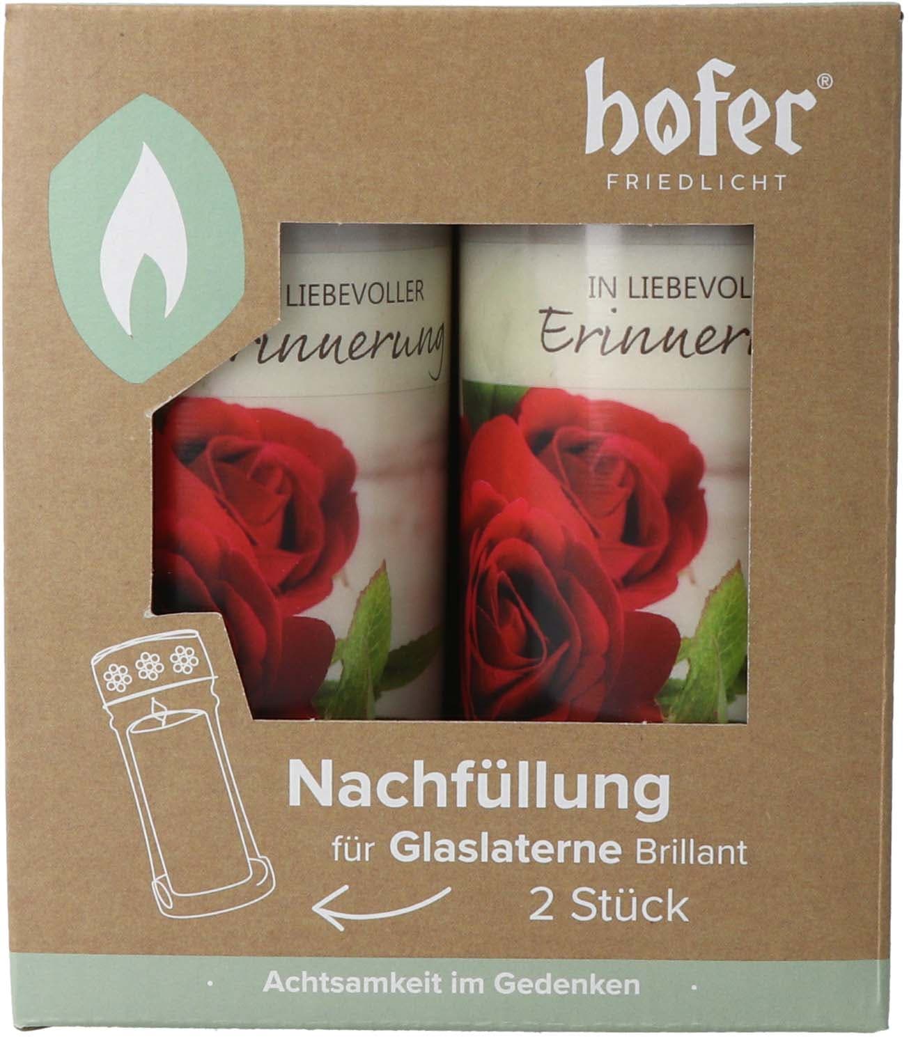 Hofer Natur Glaslaternen Brillant Engel Nachfüllung 2-tlg.