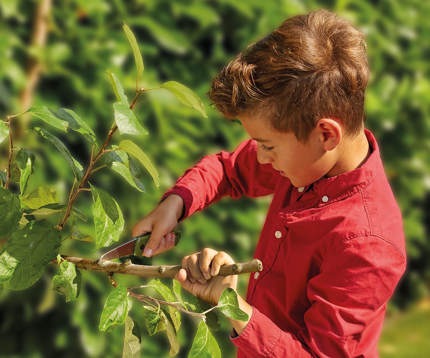 Produktbild SCOUT - Taschensäge mit Etui 3 von 4