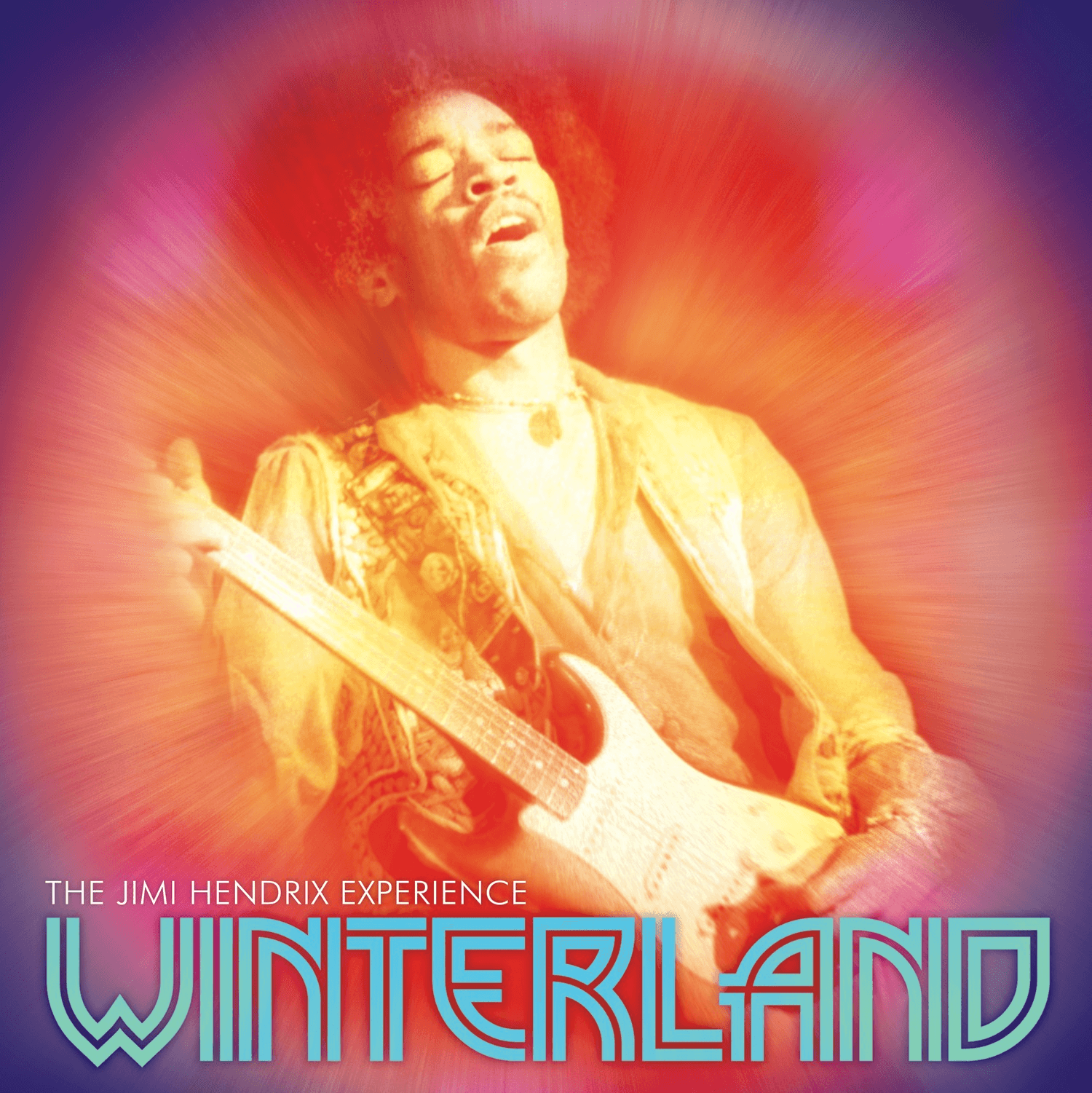 The Experience - Winterland