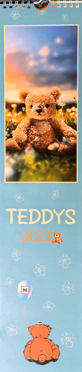 Müller Streifenplaner Teddy 2026