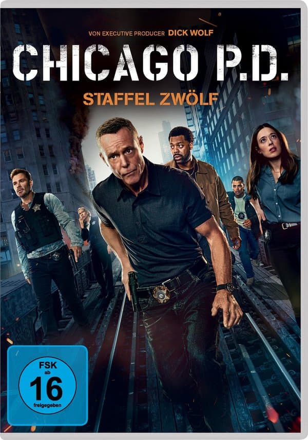 Chicago P.D.: Staffel 12 [5 DVDs]