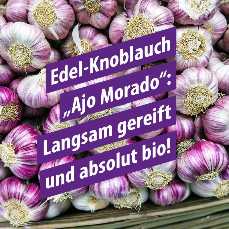 Produktbild Knobi-Vital mit Weißdorn und Holunder 4 von 4