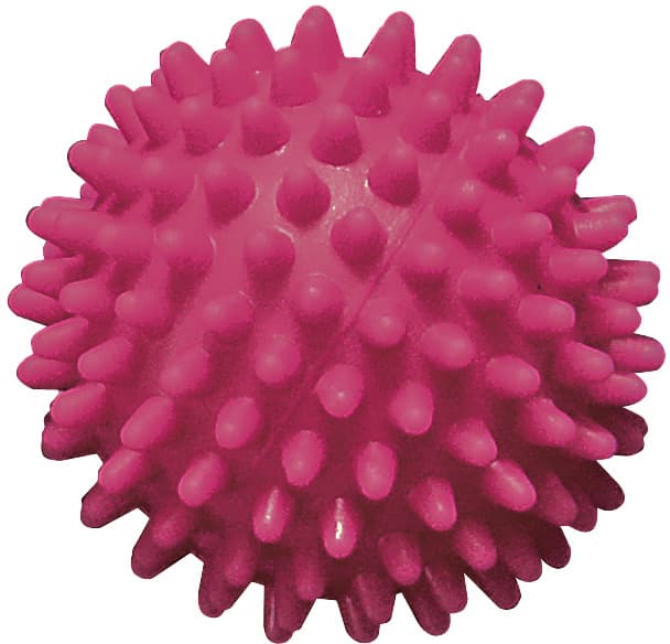 Kleiber Multi-Funktionsball