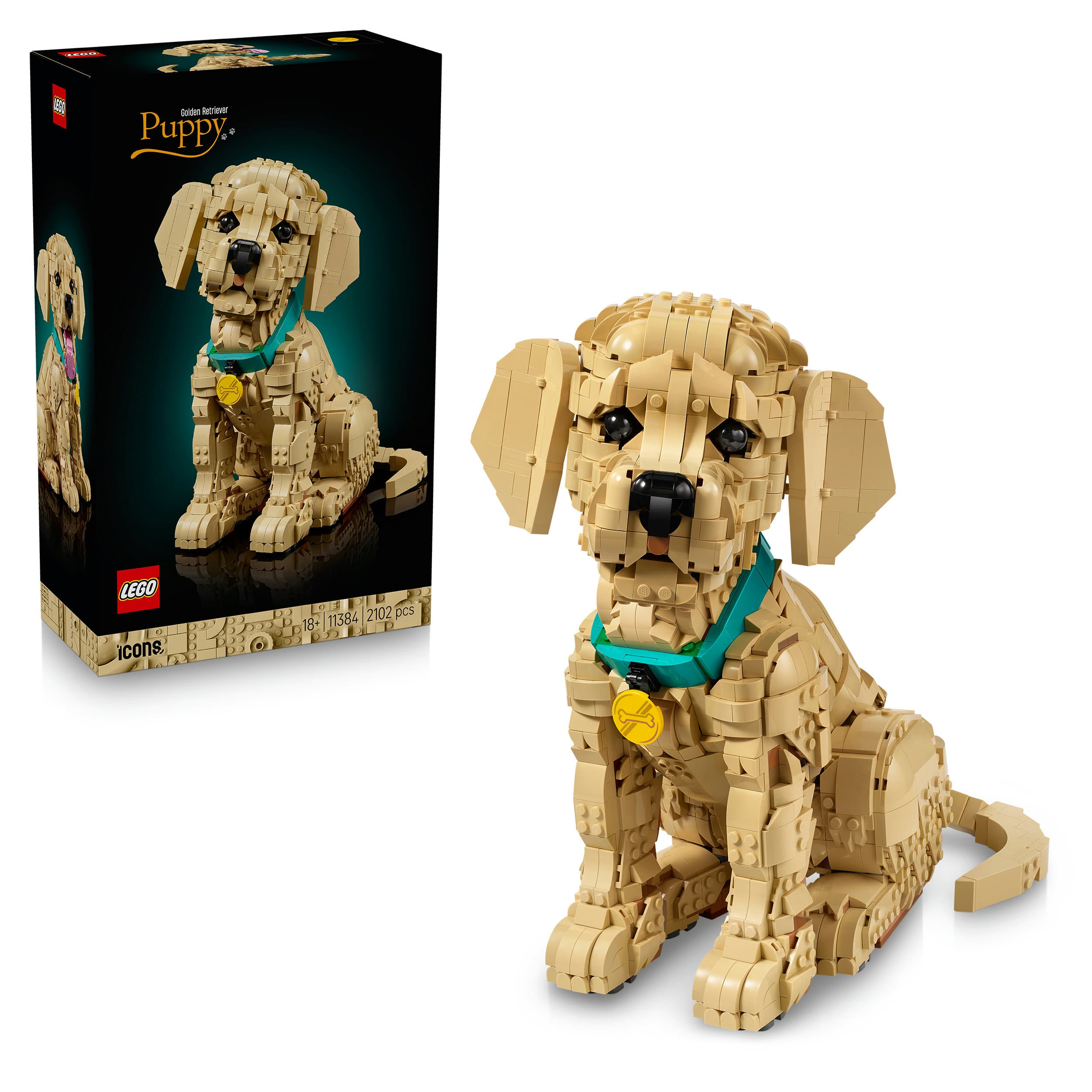 LEGO Icons 11384 Golden Retriever Welpe, Modellbau mit Hundefigur