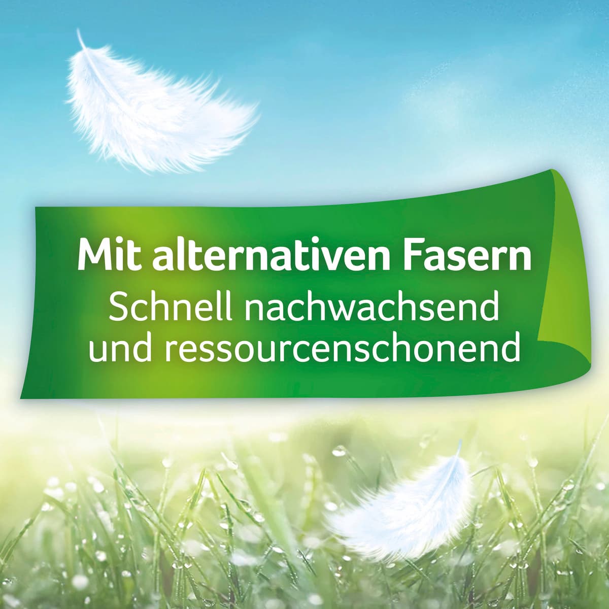 Produktbild ZEWA Ultra Soft Toilettenpapier 4 Lagen 6 von 8