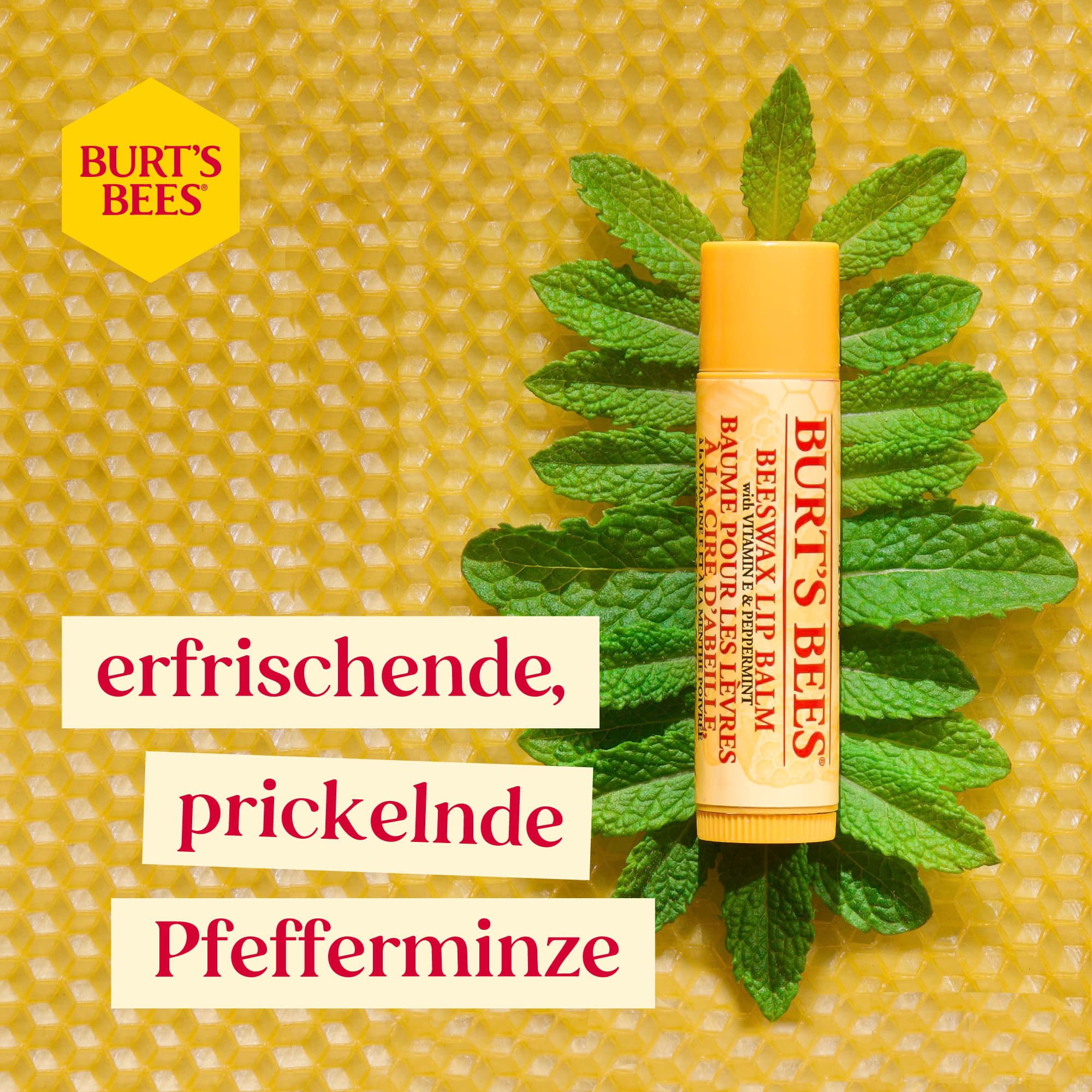 Produktbild BURT'S BEES Beeswax Lip Balm 6 von 8