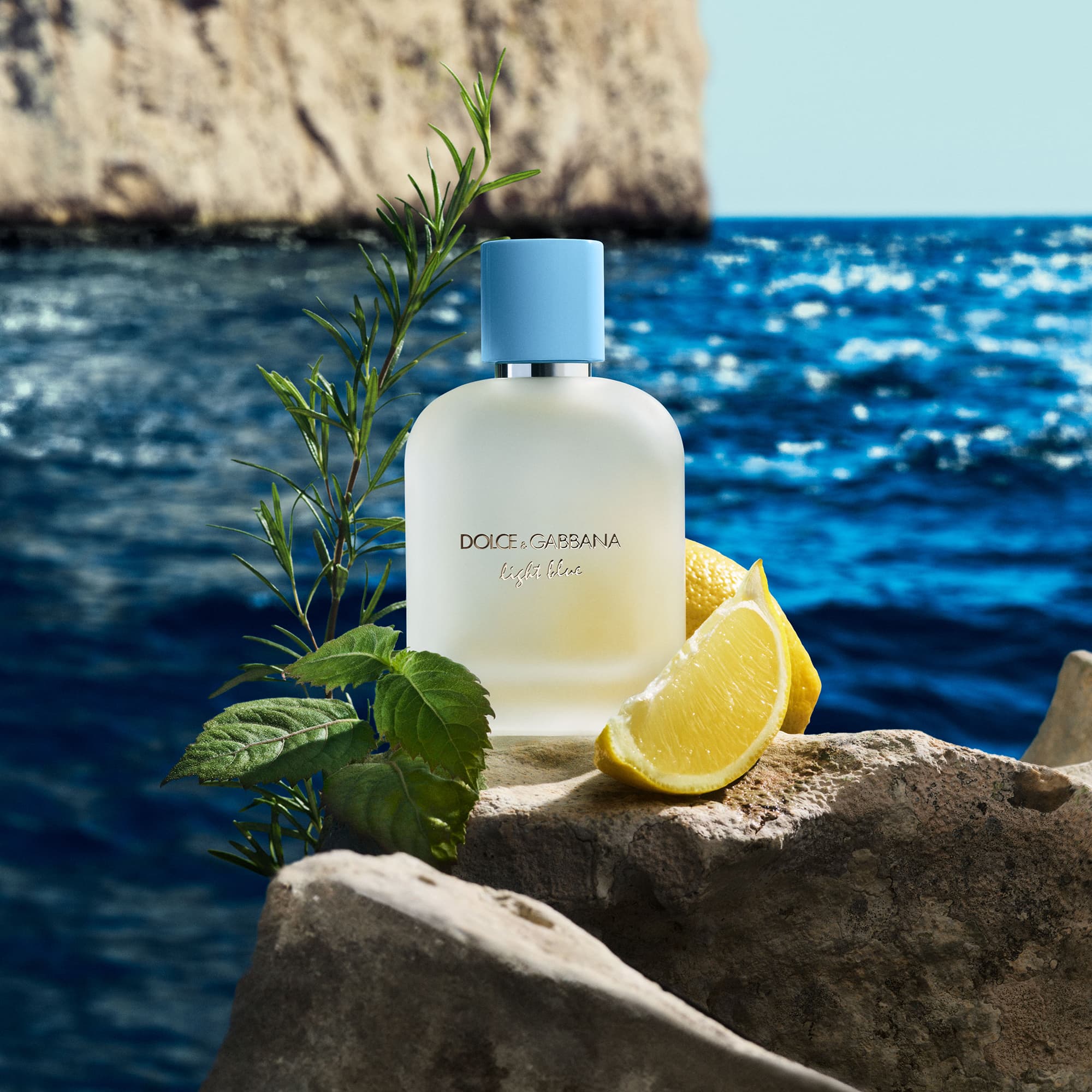 Produktbild DOLCE&GABBANA Light Blue Pour Homme Eau de Toilette 5 von 7