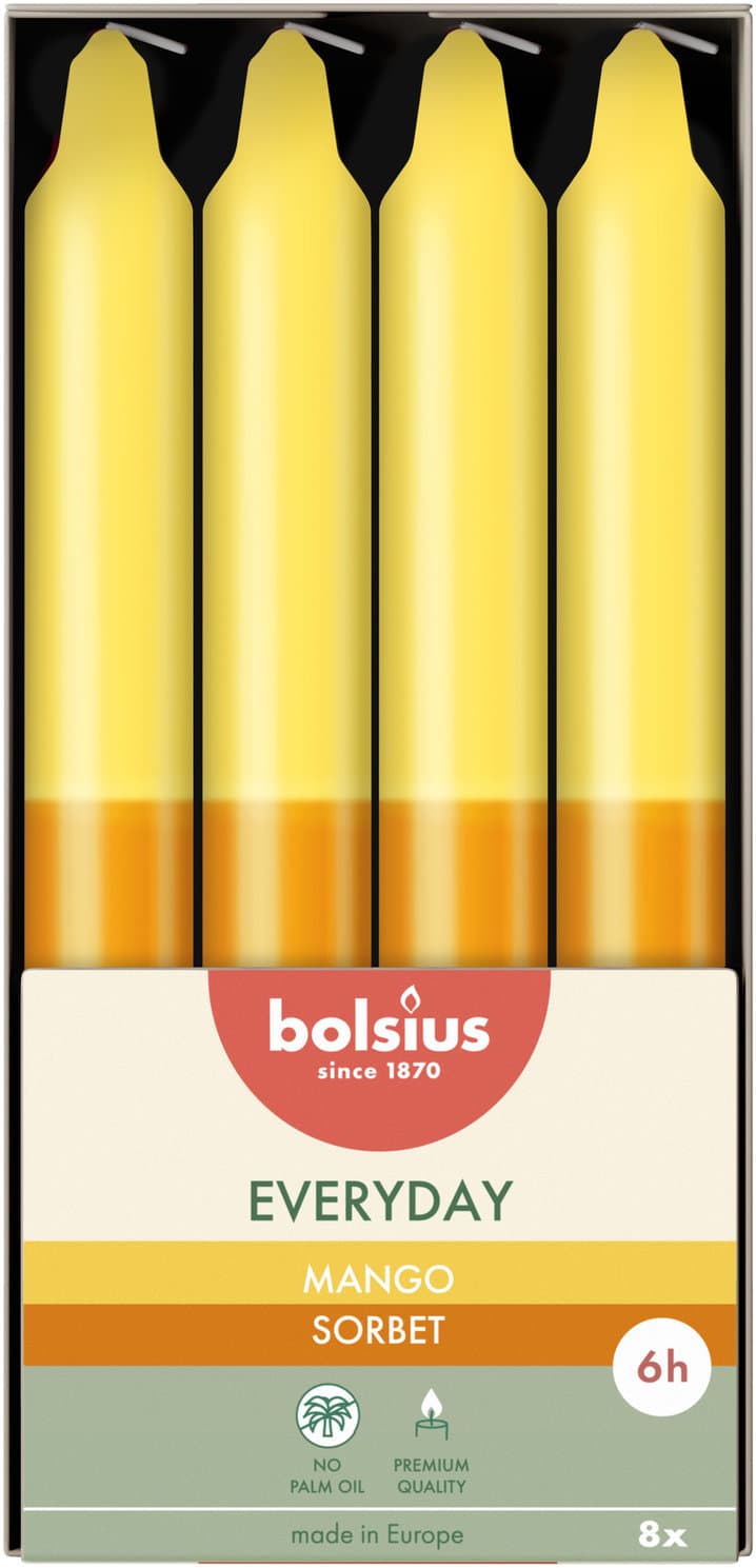 bolsius Everyday Stabkerze 8er Pack