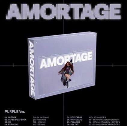 AMORTAGE-PURPLE/BLACK