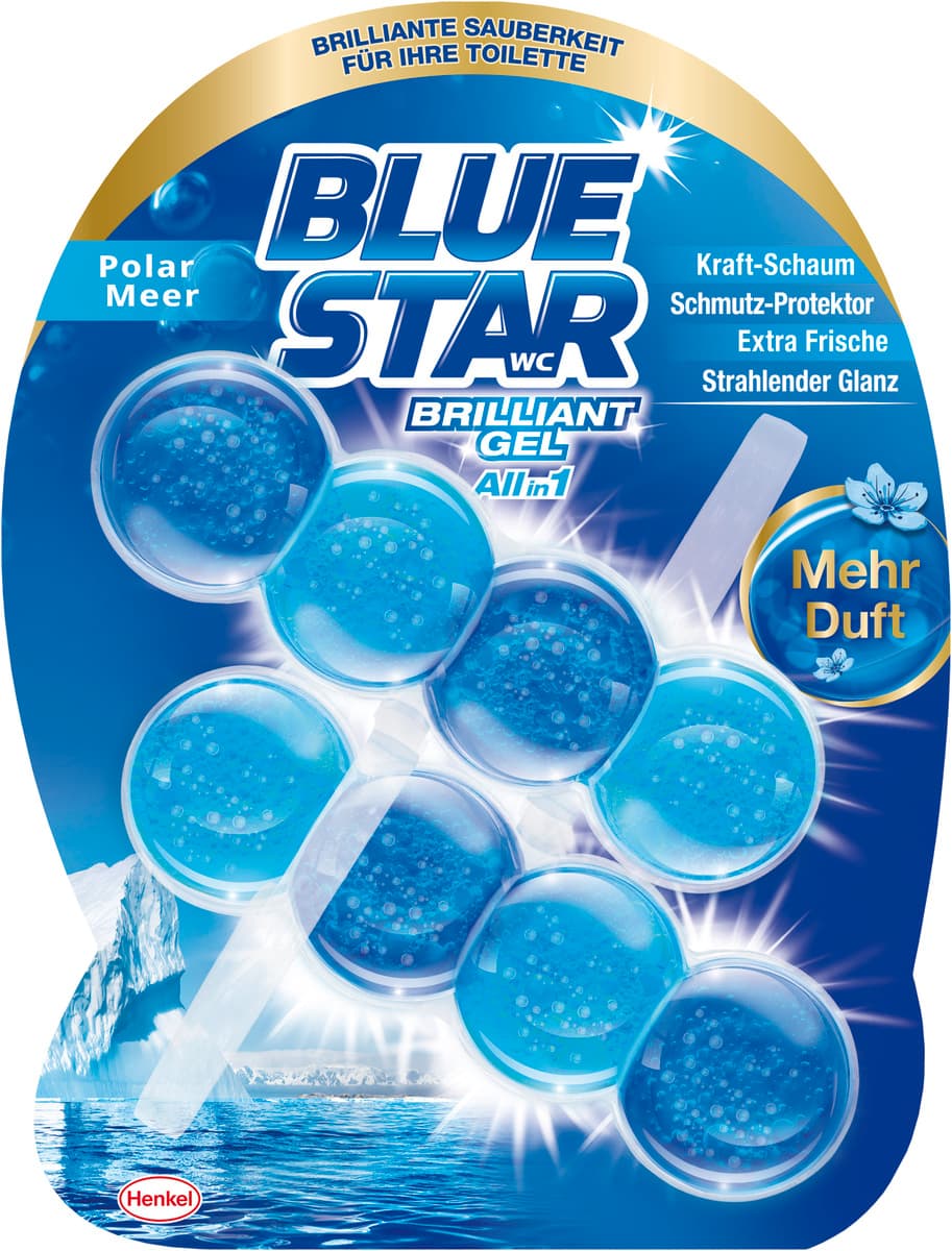 Blue Star WC-Steine Brilliant Gel All In 1 Polarmeer