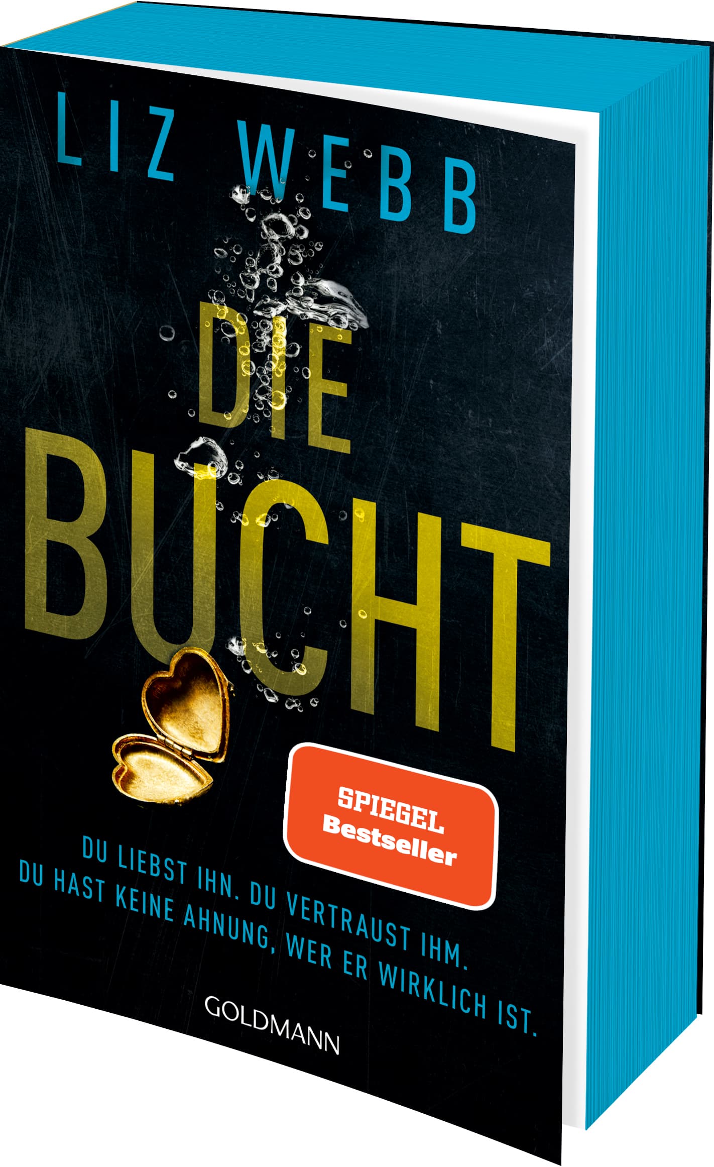 Liz Webb - Die Bucht