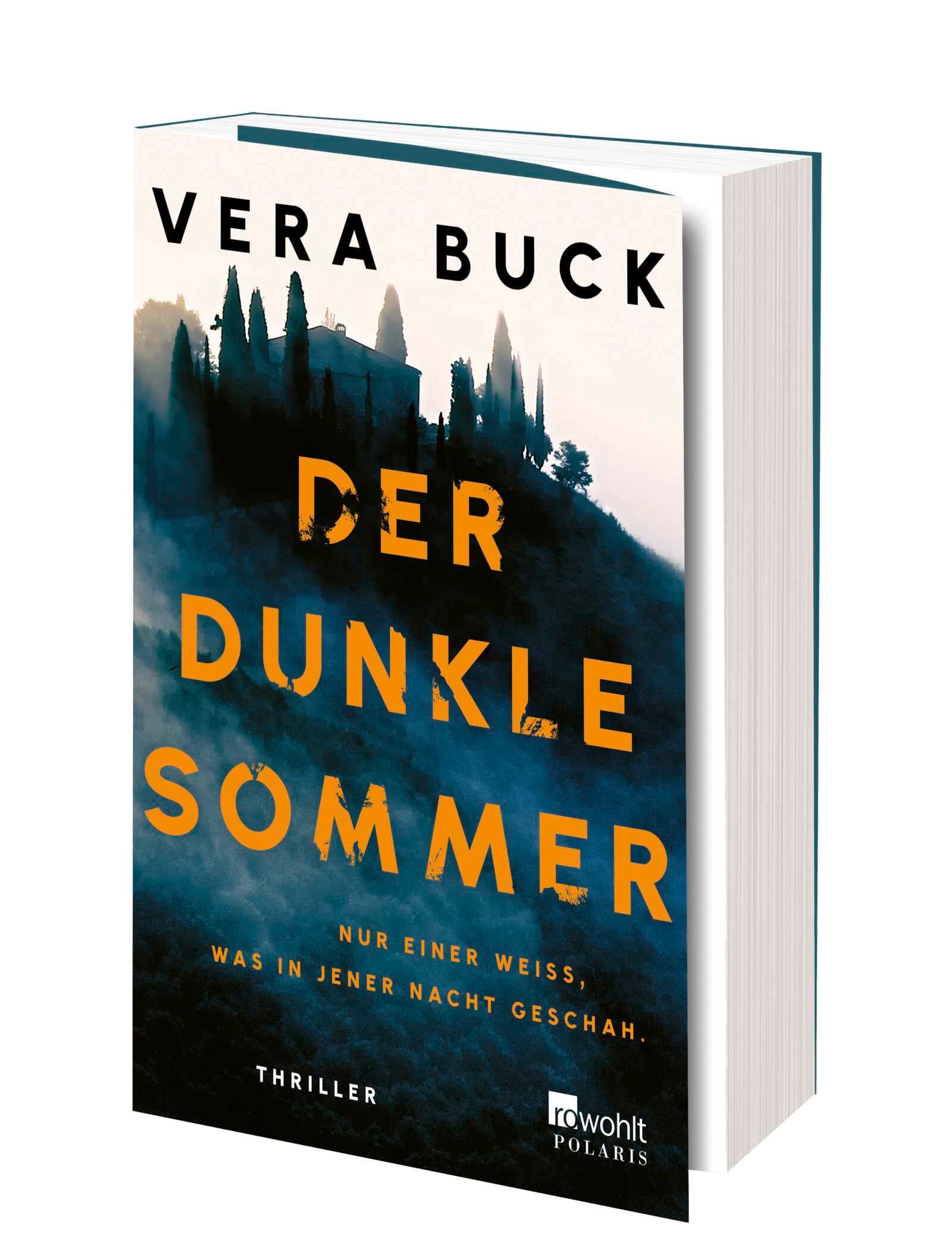 Der dunkle Sommer