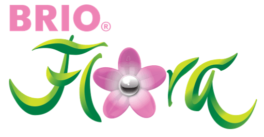 Markenbild von BRIO FLORA