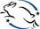 leaping bunny