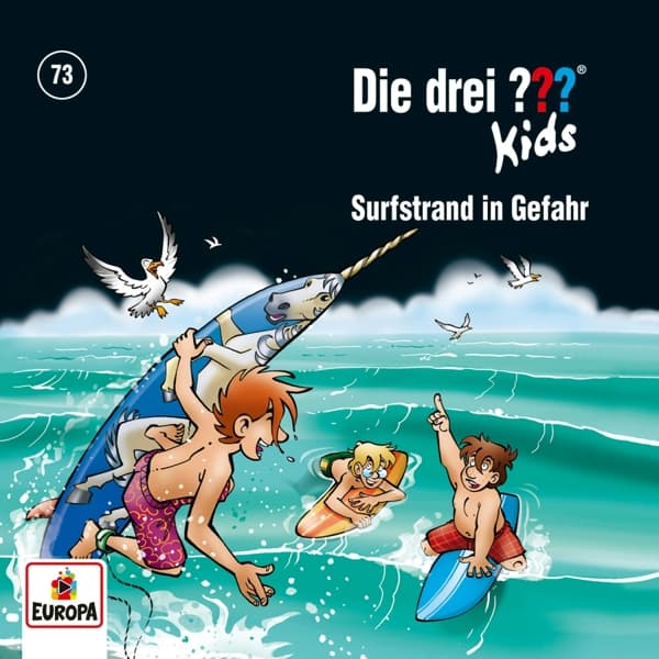 073/Surfstrand in Gefahr 
