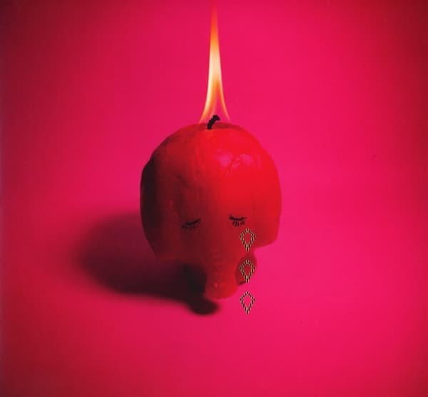 Pink Elephant 