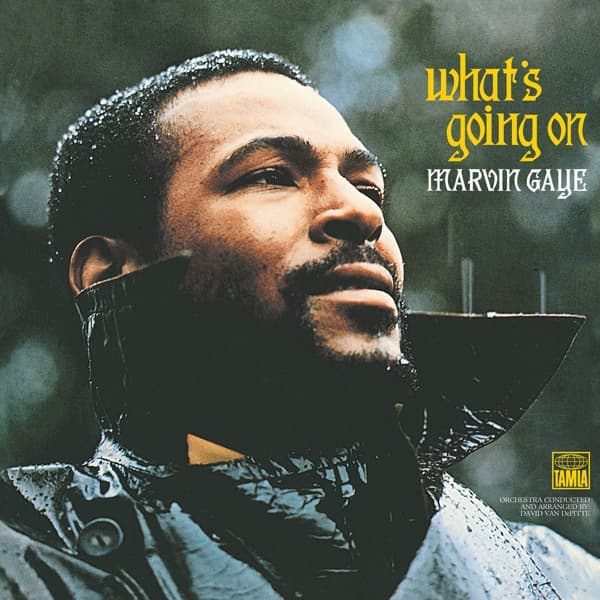 What's Going On (Back To Black LP) 