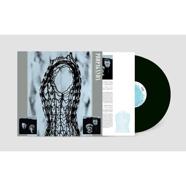 A Secret Wish 40th Anniv. (Ltd. LP) 