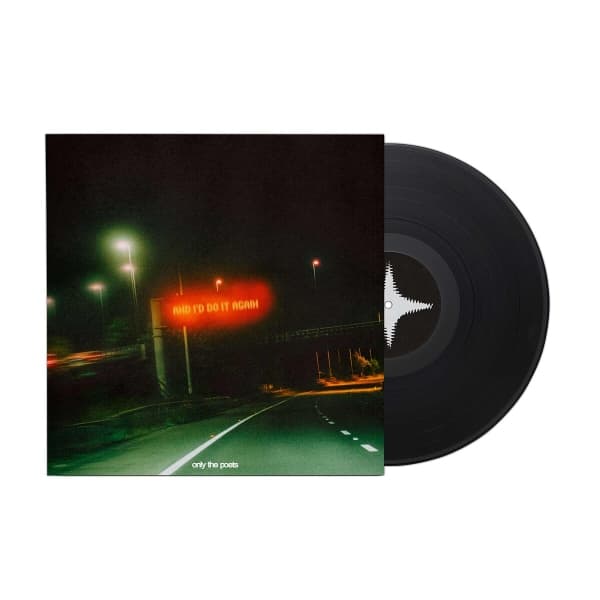 and i'd do it again (LP) 