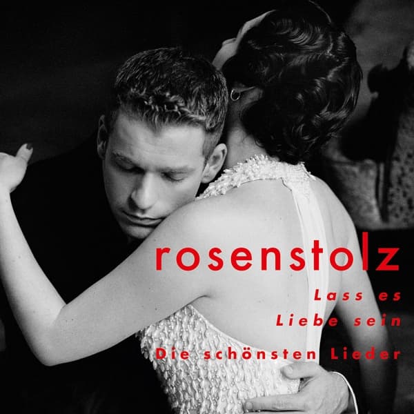 Lass es Liebe sein - die schönsten Lieder 