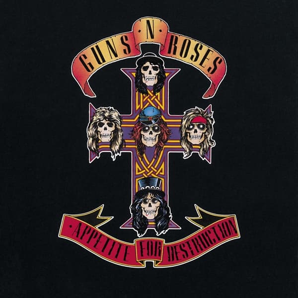 Appetite For Destruction (LP) 