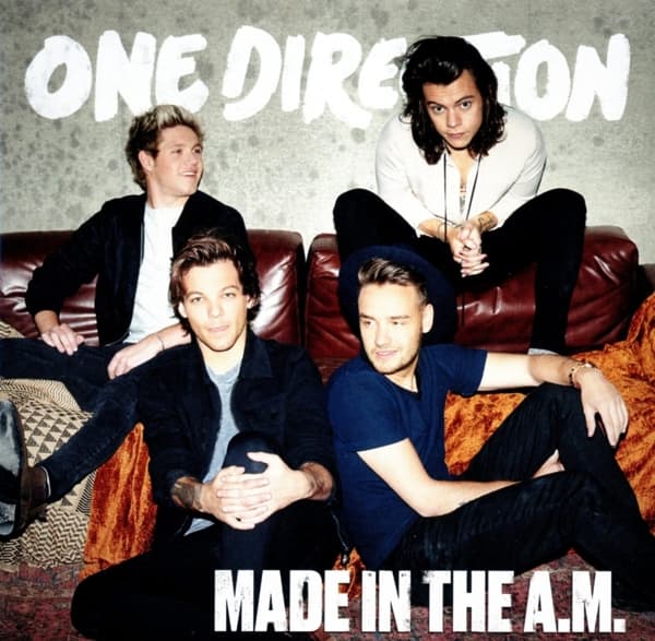 Made In The A.M. 