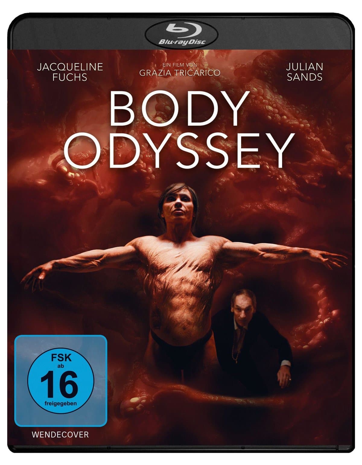 Body Odyssey
